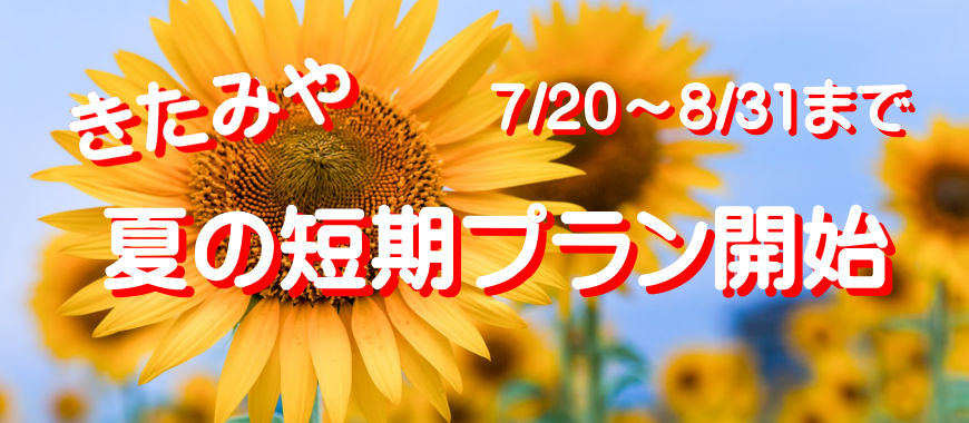 夏の短期プラン
